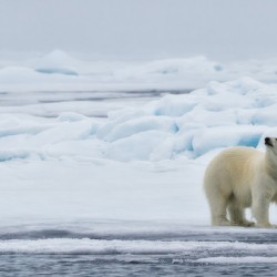 EMPRESS OF THE ARCTIC 2