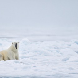 EMPRESS OF THE ARCTIC 7