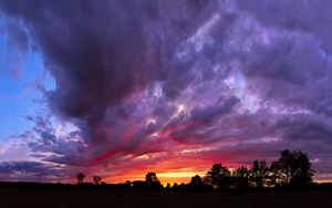 Glorious Sunset