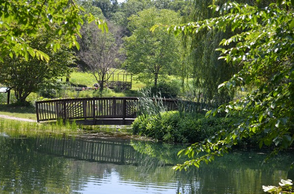 Bridge over pond Print