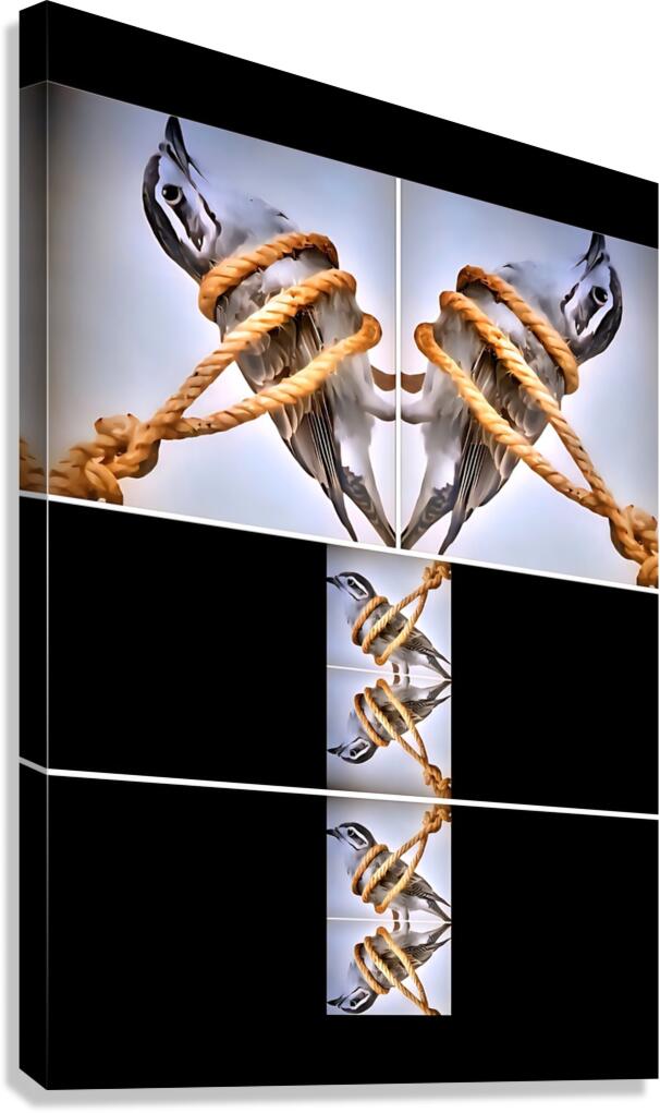 restrictedtower Canvas Print