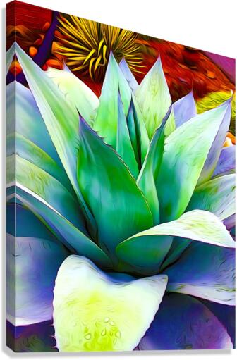 Succulent Dewdrop Canvas Print