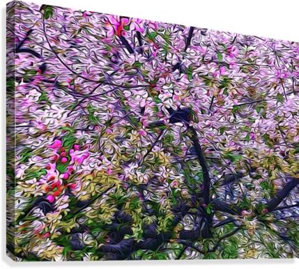 Cherry Tree Canvas Print