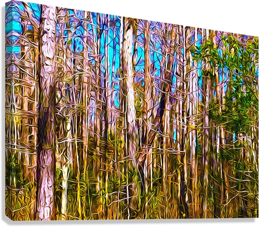 Florida Trees Canvas Print