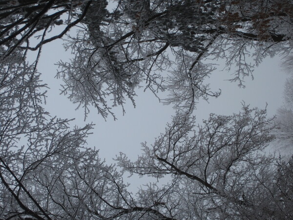 IMG 0569 by MBMiller