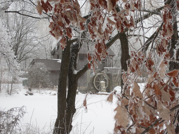 IMG 0582 by MBMiller