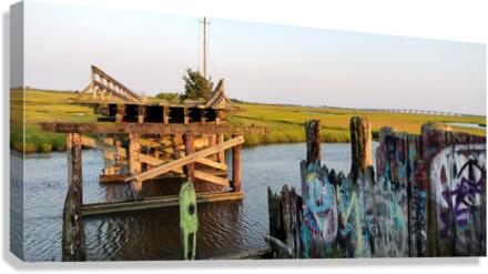 251 Canvas Print
