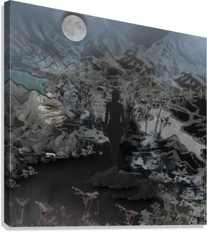 Moon Landscape Canvas Print