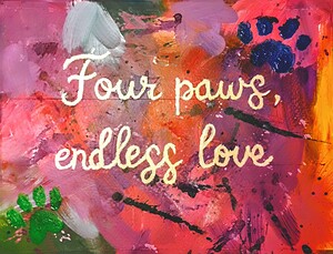 Colors of Companionship 1