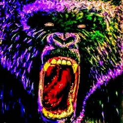 Mad Gorilla 