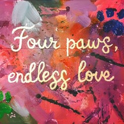 Colors of Companionship 1