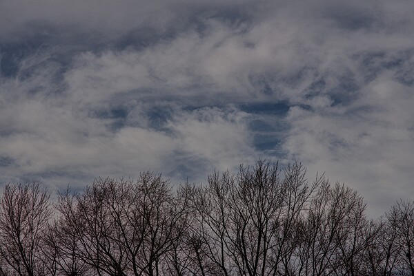 2024 Portfolio 27 Print