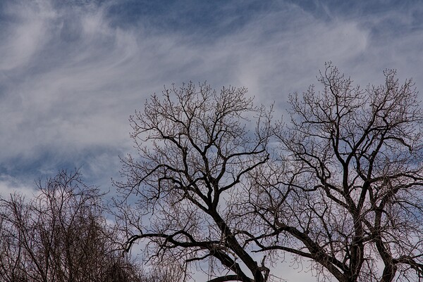 2024 Portfolio 1 Print