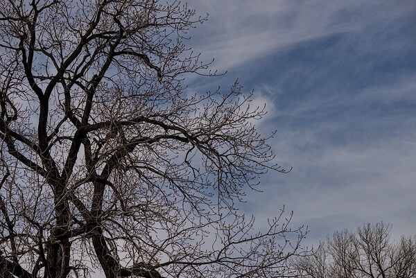 2024 Portfolio 24 Print