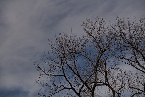 2024 Portfolio 5 Print