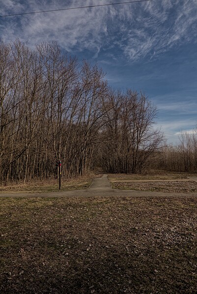 2024 Portfolio 3 Print