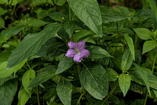 2024 Portfolio 38 Print