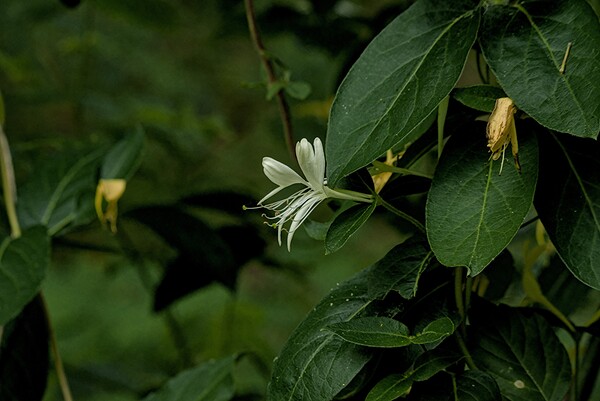 2024 Portfolio 16 Print