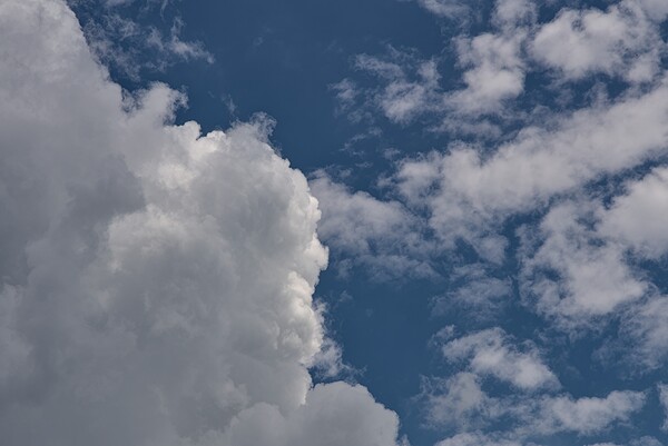 2024 Portfolio 37 Print