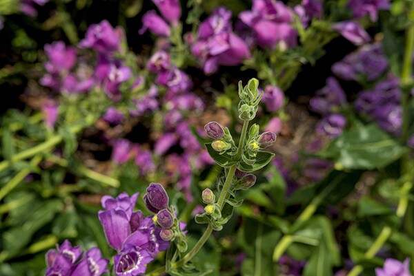 2024 Portfolio 4 Print