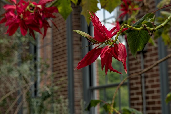 2024 Portfolio 1 Print