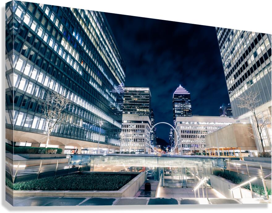 IMG 8460 Canvas Print