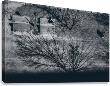IMG 0871 Canvas Print