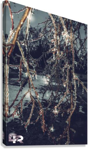 1 Canvas Print