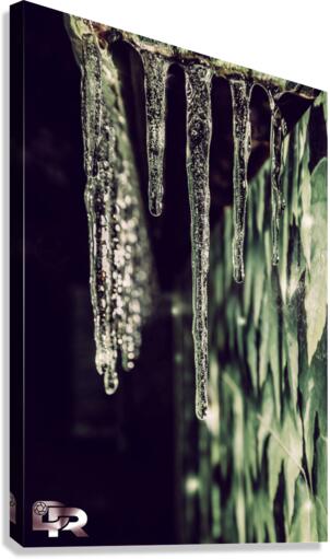 3 copy Canvas Print