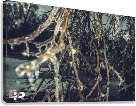 10 Canvas Print