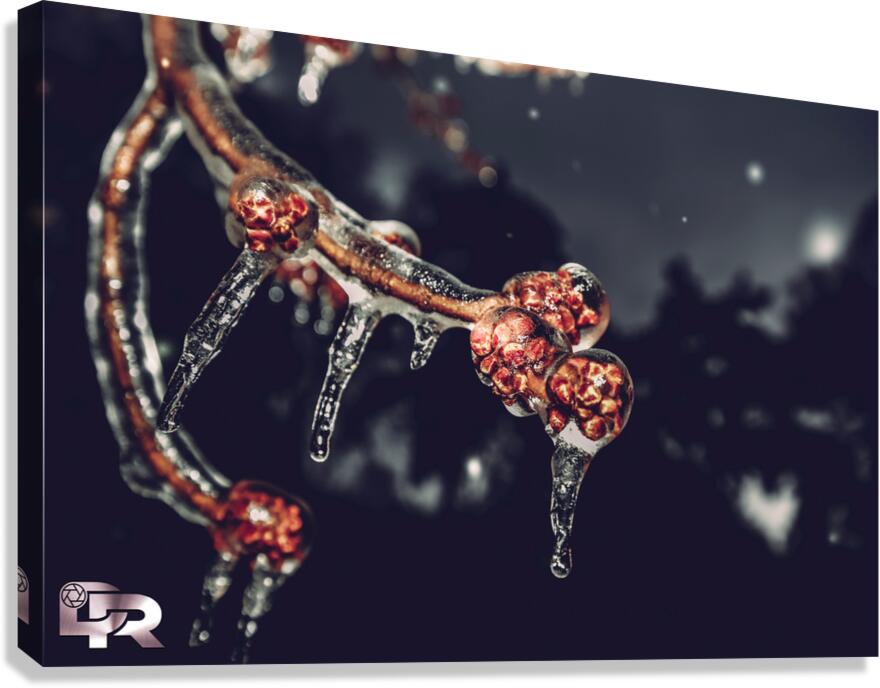 2 Canvas Print
