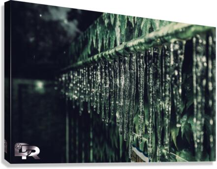 5 Canvas Print