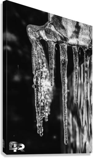 7 Canvas Print