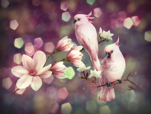 A Couple of Pink Parrots