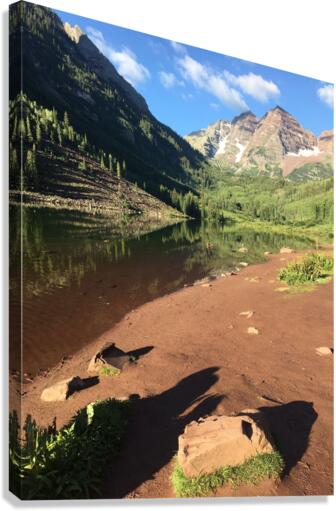 Aspen Canvas Print