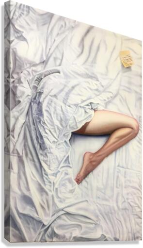 dulcinea Canvas Print