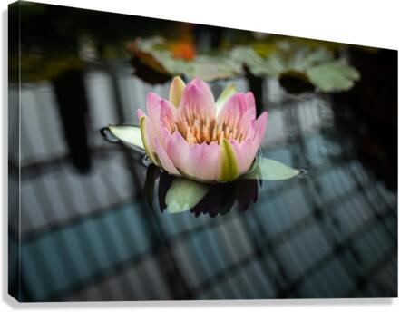 Conservatory Canvas Print