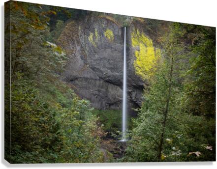 Latourell Falls  Canvas Print
