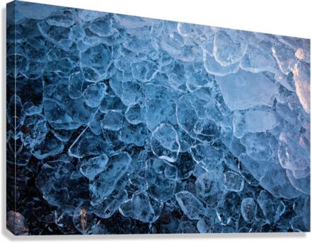 Cold as Ice Canvas Print