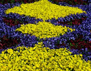 Dutch Spring Pattern Print