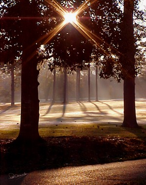Sunrise on the Golf Course
