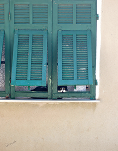 Seborga Cat