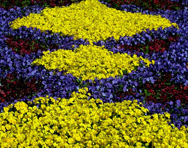 Dutch Spring Pattern Print