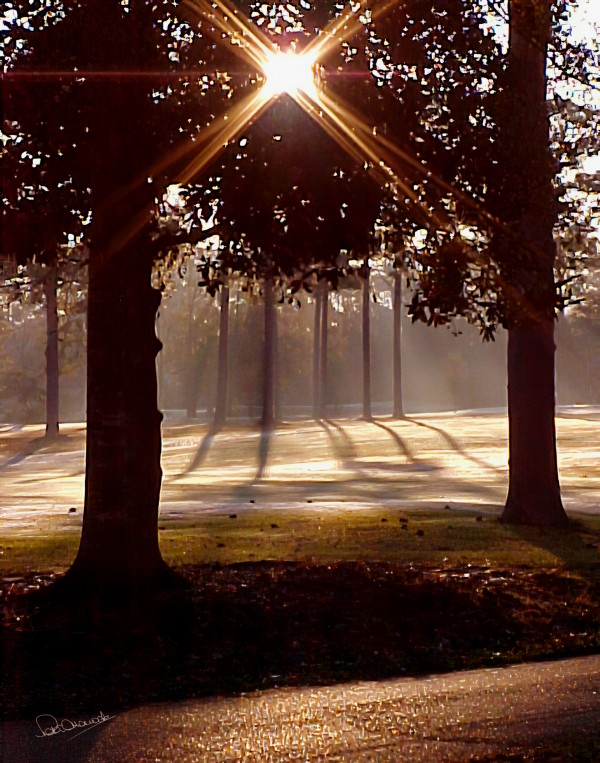 Sunrise on the Golf Course by Shadow and Form