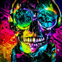 SKULL 22