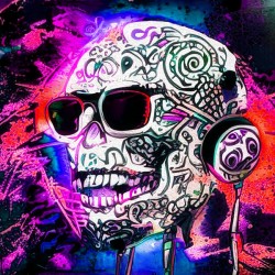 SKULL 8