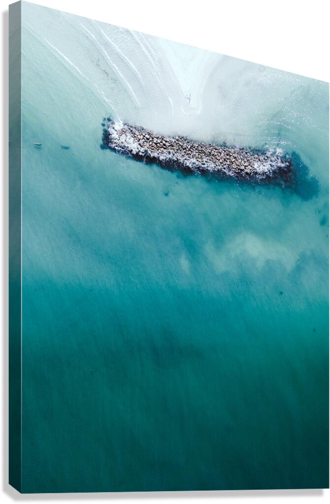 Manatee rocks Canvas Print