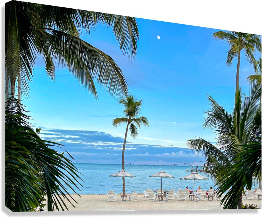 Paradise View Canvas Print