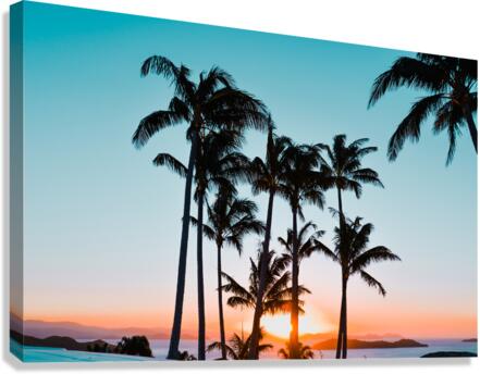 Hamilton Palms Canvas Print
