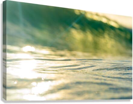 water wall Canvas Print